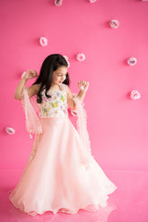 Pink organza lehenga and butterfly top set