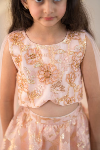 Pink Jacquard Lehenga Set