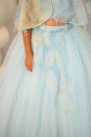 Blue Floral Cape Lehenga