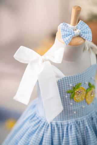 Lemon Gingham dress