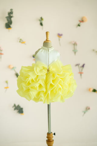 Layered Animal-themed dress